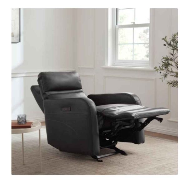 Aldryn Recliner Extended Aldryn Recliner Extended